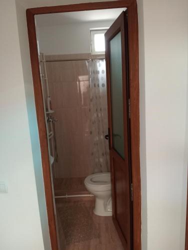 a bathroom with a toilet and a shower at Casa Eliza in Corbu