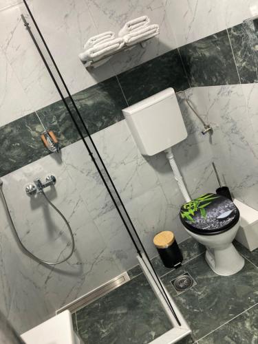 a bathroom with a toilet and a glass shower stall at Apartman Aleksandar 2 in Nova Varoš