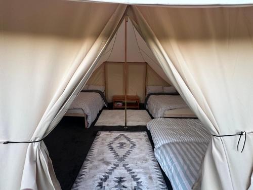 a bedroom with two beds in a tent at Cooll Camping Canterbury in Canterbury