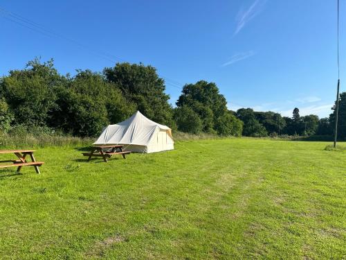 a tent and a picnic table in a field at Cooll Camping Canterbury in Canterbury