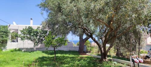 Seaview Vravrona