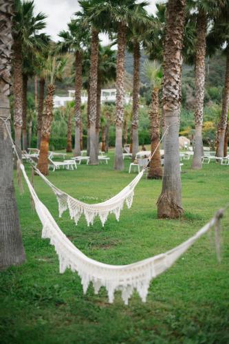 Zahrada ubytování Infinity Resort Tropea