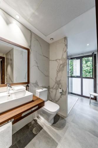 a bathroom with a sink and a toilet and a mirror at Hotel AV la Florida in Seville