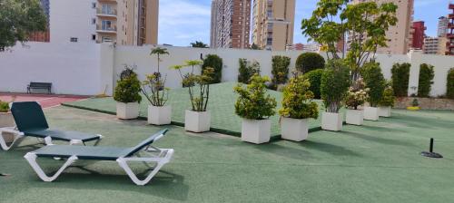 Solo familias Torre Domo Benidorm