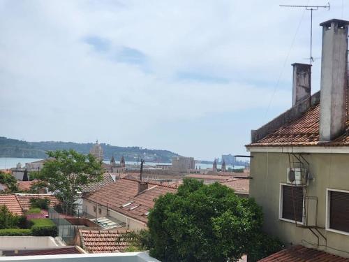 Belém Tropical