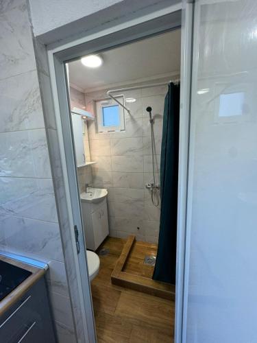 a bathroom with a shower and a toilet and a sink at Villagio in Virpazar