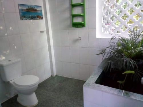 Hotelito La Aventura, AC private WC rooms near the old town, no taxにあるバスルーム