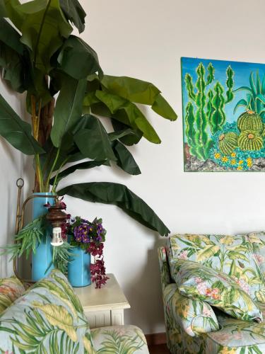 a living room with a couch and a plant on a table at Casa Calandra in Canneto