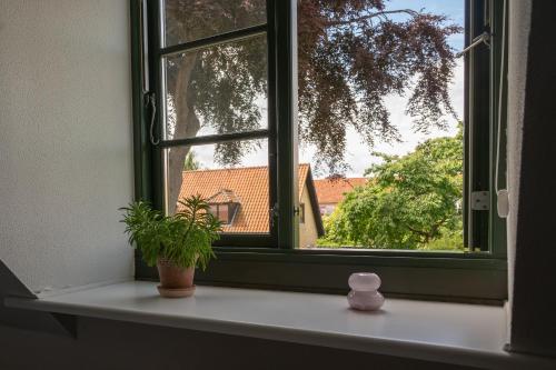 a window with a plant and a vase on a window sill at Hotel Siemsens Gaard in Svaneke