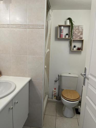 une salle de bain avec toilettes, lavabo et douche dans l'établissement Appartement lumineux climatisé avec terrasse, à La Ciotat