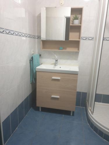une salle de bain avec un lavabo et une douche dans l'établissement Confort, à Menton