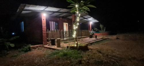 Zahrada ubytování Arpita FarmStay