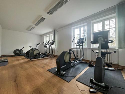 Fitness centrum a/nebo fitness zařízení v ubytování seezeit-resort am Werbellinsee