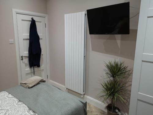 a bedroom with a television and a potted plant at Stylish studio own entrance in Victorian House in Dublin