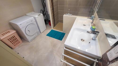a bathroom with a sink and a washing machine at Gîtes Ange et Bacchus in Villecresnes