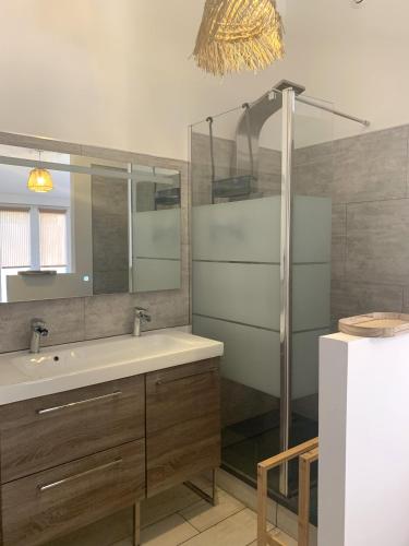 une salle de bain avec un lavabo et une douche avec un miroir dans l'établissement VIDAGO maison neuve tout confort avec terrasse privée, à Nieul-sur-Mer
