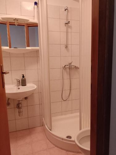 a bathroom with a shower and a sink at Apartments Lazzarini Battiala in Nedeščina