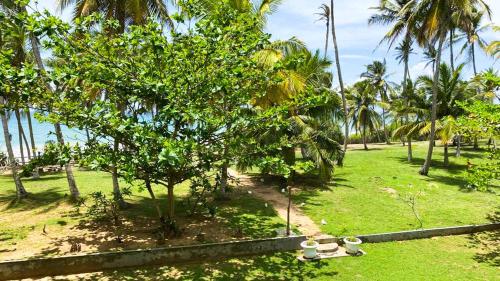 a park with a tree and some grass and palm trees at Villa Ocean's Edge in Ranna