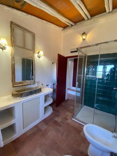 a bathroom with a sink and a glass shower at Country House and Estate - Herdade da Azinheira in Pavia