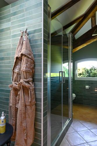 a shower in a bathroom with a glass door at Elizabeth Country House, a Member of Design Hotels in Minerbio