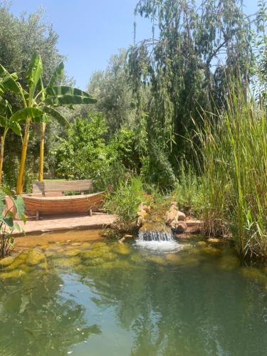 a pond with a waterfall in a garden at Jardin Sakina - Chambre d'hôtes in Marrakech