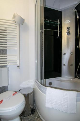 a white bathroom with a toilet and a shower at Lacrima Izei in Săcel