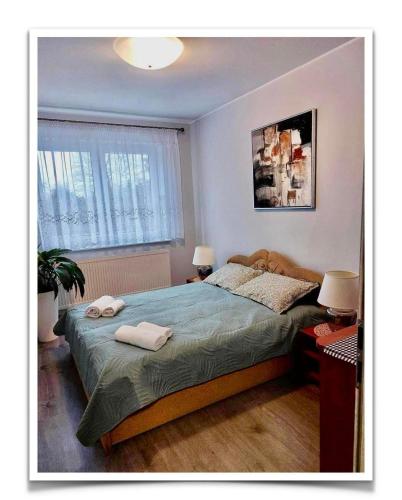 Ένα ή περισσότερα κρεβάτια σε δωμάτιο στο Apartament u Gieni
