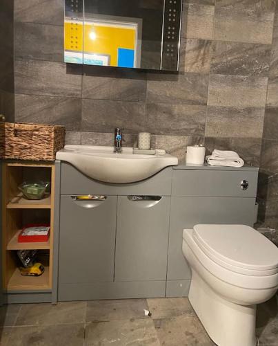 a bathroom with a toilet and a sink at Elegant Flat in Oxford Center with Parking in Oxford