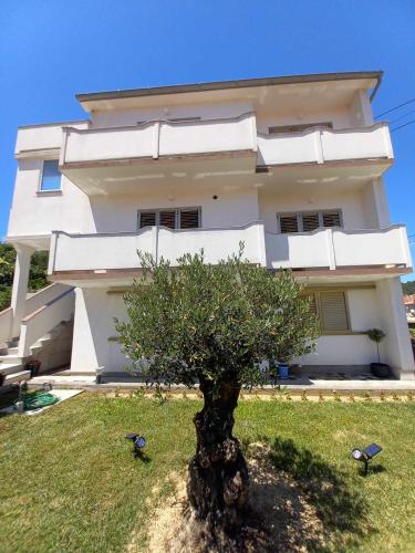 Apartments VINSE near Rab center