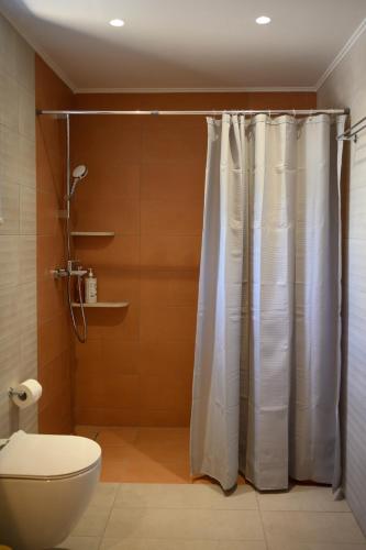 a bathroom with a shower curtain and a toilet at LIORIZA Country Houses in Kalamaki
