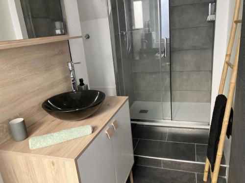 un bagno con lavandino e doccia di F3 hyper centre vieille ville coeur historique d'Ajaccio ad Ajaccio