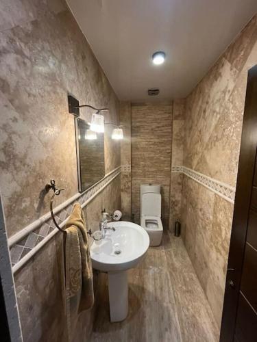 a bathroom with a sink and a toilet at Retro Villa in Batumi