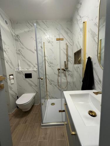 a bathroom with a shower and a toilet and a sink at Apartament Sun in Sztutowo
