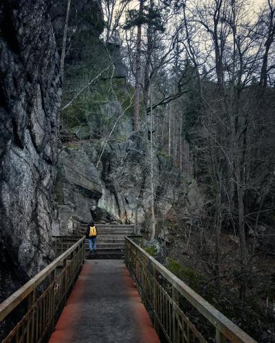 a person standing on a bridge over a path at Rajskie Jabłka - azyl dla dorosłych in Lubomierz