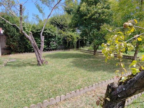 Emplacement jardin pour tente Bayonne