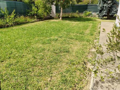 une cour avec de l'herbe verte et un trottoir dans l'établissement Emplacement jardin pour tente Bayonne, à Bayonne