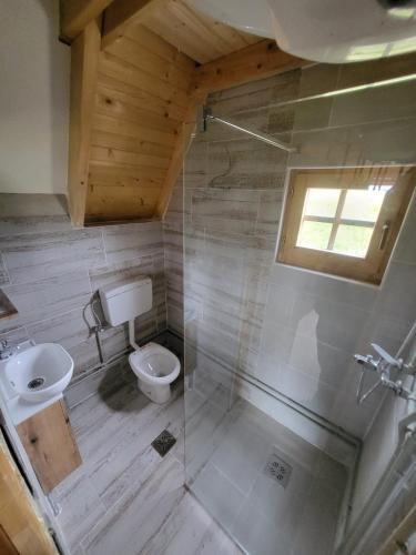 a bathroom with a toilet and a glass shower at Monte Diva Zabljak in Žabljak