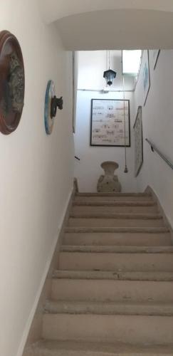 Enza Domus photo 25
