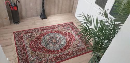 a red rug on the floor next to a plant at Enza Domus in Bari