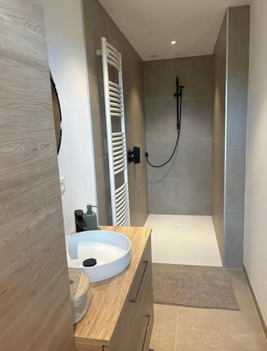 Bilik mandi di Logement route de vins