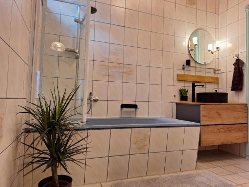 Kúpeľňa v ubytovaní Sylvia Apartman