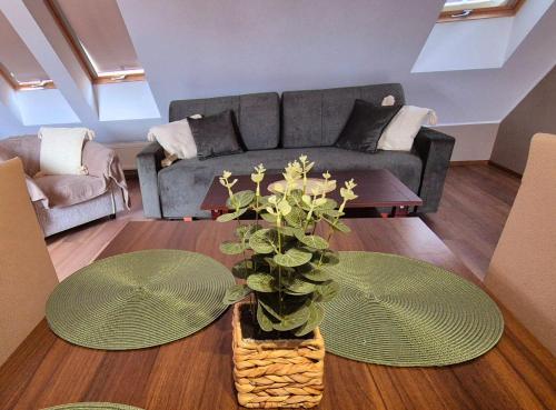 Posezení v ubytování B&B Penzión Magura