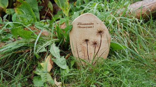 a wooden spoon sitting in the grass at Kräuterbaude in Saupsdorf