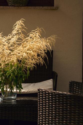 a glass vase with a plant on a table at Apartament Londyn in Łagów