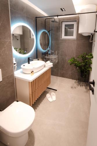 a bathroom with a sink and a toilet and a mirror at Atelier 51 - Free parking in Mostar