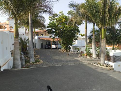 a driveway with palm trees in front of a house at Las palmeras B in Güimar