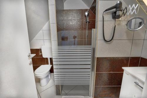 a bathroom with a shower with a toilet and a sink at Vila Lemic Postojna in Postojna