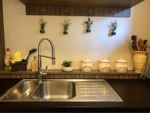 a sink in a kitchen with plants on a shelf at Forest-side home by recreational lake in Kunfehértó