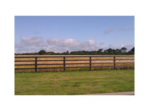 a fence in front of a field with a cow at Ambrose Mews B&B in Duncormick