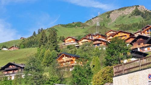 a group of houses on a hill with a mountain at Alpage Immo Location Service in Champoussin
